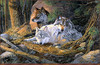 Panthera 0676 Terry Doughty Peaceful Retreat