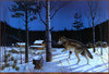 Panthera 0690 Les Kouba Old Three Legs