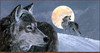 Panthera 0714 Jon Van Zyle Wind Song