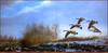 Panthera 0719 Richard W. Plasschaert Late Season Canadas