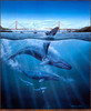 Panthera 0725 Robert Lyn Nelson San Francisco