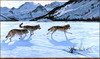 Panthera 0727 Ron S. Parker On the Run