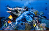 Panthera 0729 Christian Riese Lassen Mothers Love