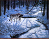 Panthera 0742 Persis Clayton Weirs Silver Shadows