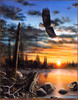 Panthera 0746 Jim Hansel Kings Domain