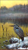 Panthera 0754 Carl Brenders Great Blue Heron