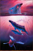 Panthera 0756 Christian Riese Lassen Majestic Voyagers