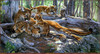 Panthera 0760 Al Agnew Childs Play