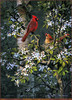 Panthera 0765 Kloetzke Gadamus Zoellick Schultz Spring Bonding