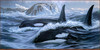 Panthera 0770 Lee Kromschroeder Shore Patrol