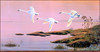 Panthera 0776 Harlan Zieska Early Dawn