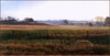 Panthera 0778 Ron S. Parker Autumn Fields