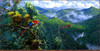 Panthera 0789 Michael Sieve Panama Red