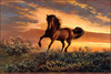 Panthera 0804 Persis Clayton Weirs Fire in the Sky