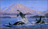 Panthera 0816 Lee Kromschroeder On the Pacific Rim