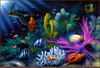 Panthera 0826 David Miller Honus Vision