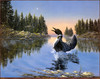Panthera 0834 Derk Hansen Song of the North