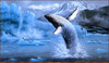 Panthera 0845 Michael Sieve White Thunder