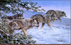 Panthera 0847 Jorge J. Mayol Winters Moon
