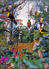 Panthera 0875 Paul Kratter Our Rainforests A Fragile Balance