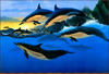 Panthera 0883 Don McMichael Flight to Windward