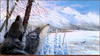 Panthera 0891 Jon Van Zyle Alaska Ethos II