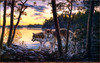 Panthera 0923 Darrell Bush Twilight Encounter