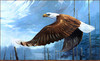 Panthera 0933 Mario F. Fernandez Onward Glory
