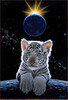 Panthera 0958 Schim Schimmel The Crown Jewel