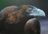 MY PAINTING