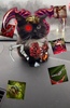 cat pudge