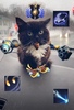 cat tinker