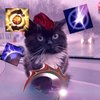 cat anti-mag
