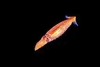 Neon flying squid (Ommastrephes bartrami)