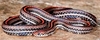 Banded Malayan coral snake (Calliophis intestinalis)