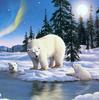 북극곰- 그림