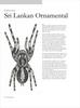 Illust - Sri Lankan Ornamental(Poecilotheria fasciata)