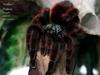 Antilles Pinktoe (Avicularia versicolor)