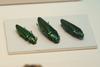 비단벌레 Chrysochroa fulgidissima (Jewel Beetle)