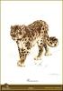 [Animal Art by Carl Brenders] Snow Leopard (Uncia uncia)