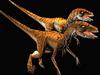 Dinosaurus: Velociraptor