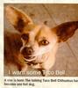 Taco Bell Dog