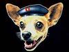Taco Bell Dog