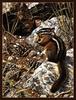 [Animal Art - Carl Brenders]  Harvest Time - Chipmunk