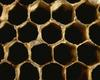 Bee hive