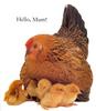 Domestic Chicken (Gallus gallus domesticus)