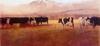 [Animal Art - Michael Workman] Domestic Cattle (Bos taurus)