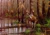 Deer