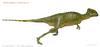 Dinosaur - Homalocephale calathocercos