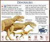 Dinosaurs - Tyrannosaurus rex-Allosaurus-Dilophosaurus